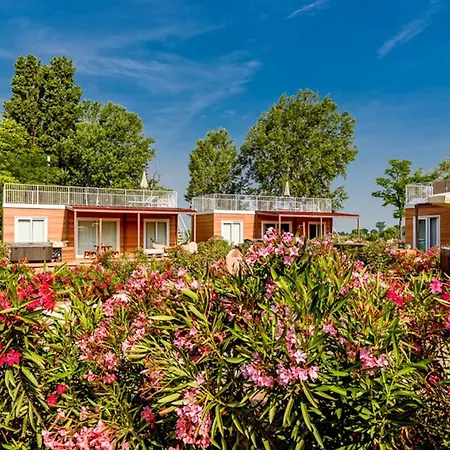 Dune * ايراكليا ماري