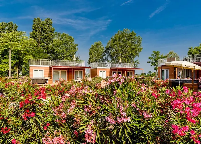 Dune * ايراكليا ماري